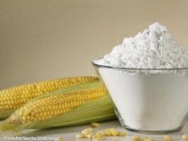 કોર્ન ફ્લોર - મકાઈ નો લોટ - કોર્ન ફ્લોર બનાવવાની રીત - corn flour banavani rit - makai no lot banavani rit