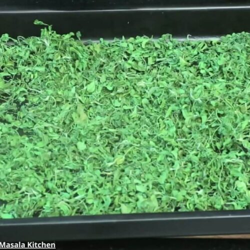 Kasuri methi - કસૂરી મેથી