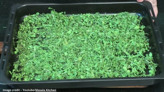 Kasuri methi - કસૂરી મેથી